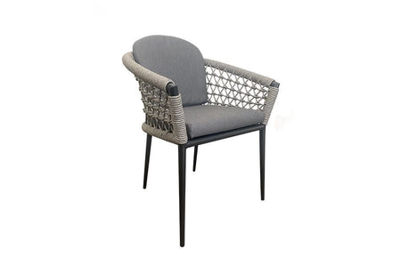 CLEARANCE | Monaco Dining Armchair